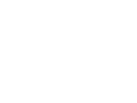 BDG-Logo-White.webp